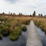 Lägenhet Bienenhaus