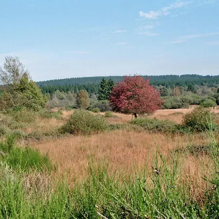 Bienenhaus Lejlighed