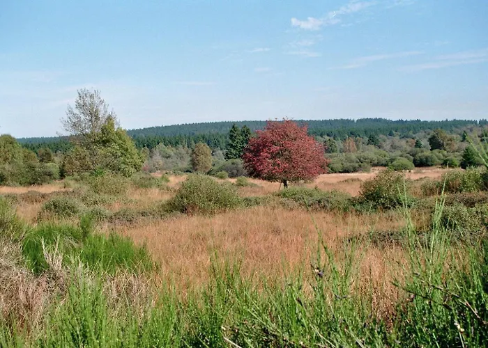 Bienenhaus Apartamento